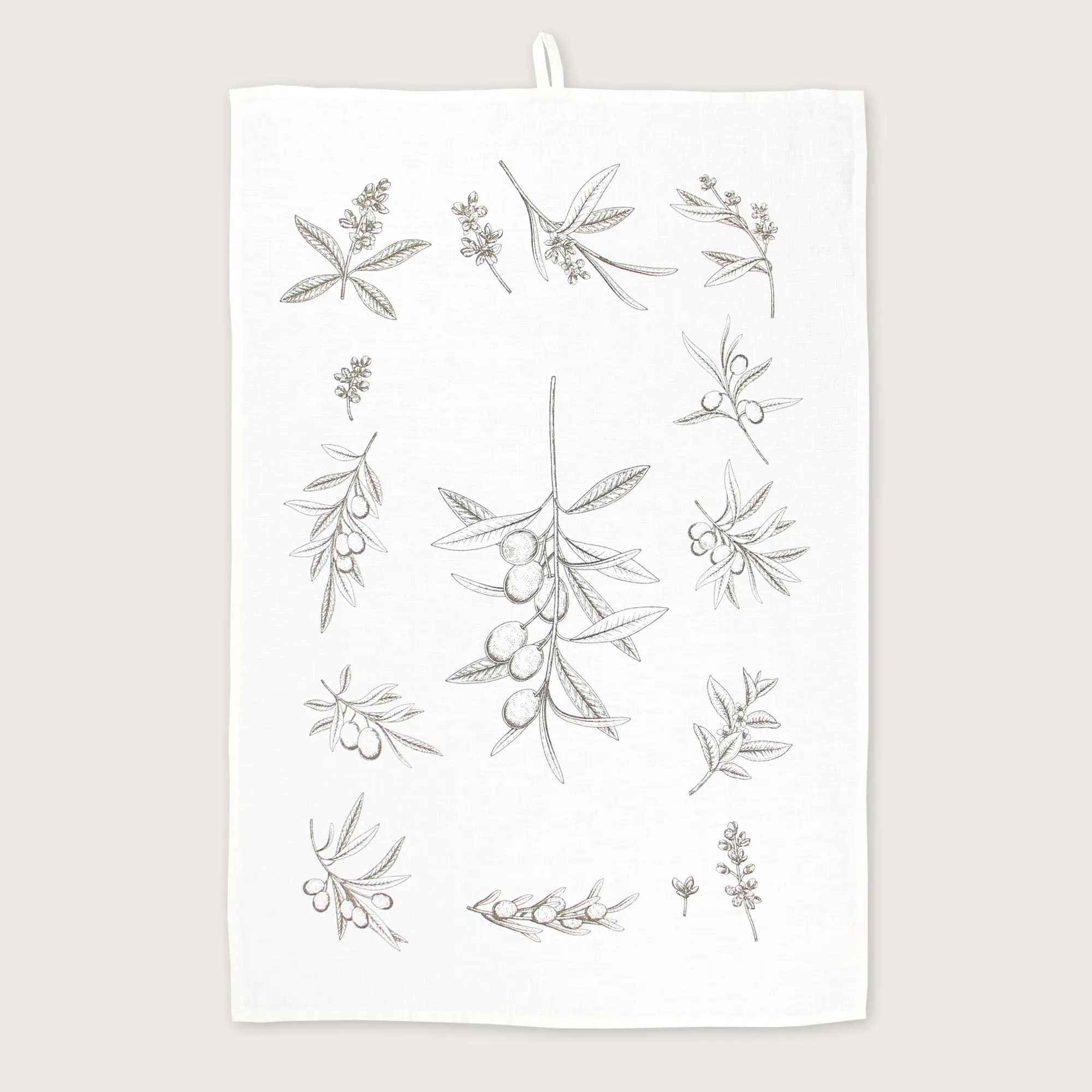 TO-OLIVETWIG-w_01_2026